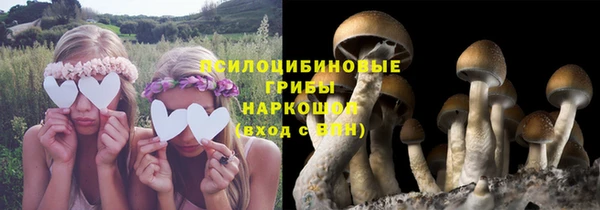 гидропоника Армянск