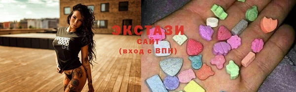 прущие грибы Переславль-Залесский